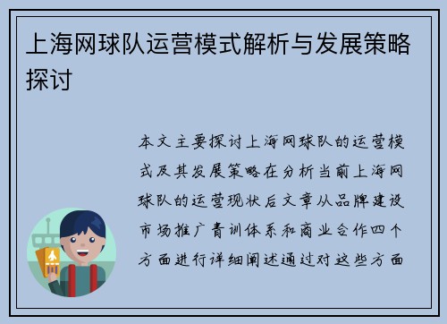 上海网球队运营模式解析与发展策略探讨