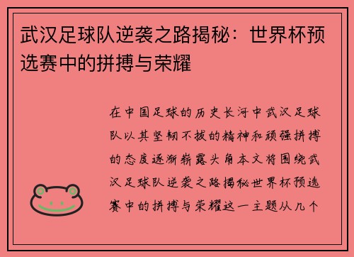 武汉足球队逆袭之路揭秘：世界杯预选赛中的拼搏与荣耀
