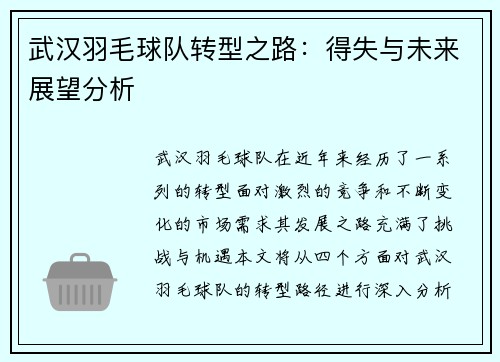 武汉羽毛球队转型之路：得失与未来展望分析